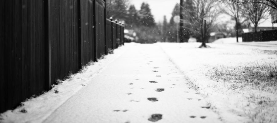 Making a Winter Slip and Fall Claim in Alberta